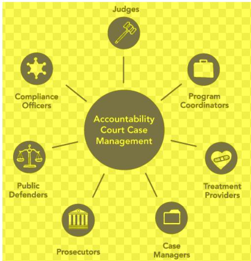 Georgia Accountability Court Atlanta