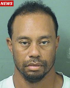Tiger Woods DUI Drugs