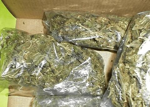 Possession of Marijuana in Georgia