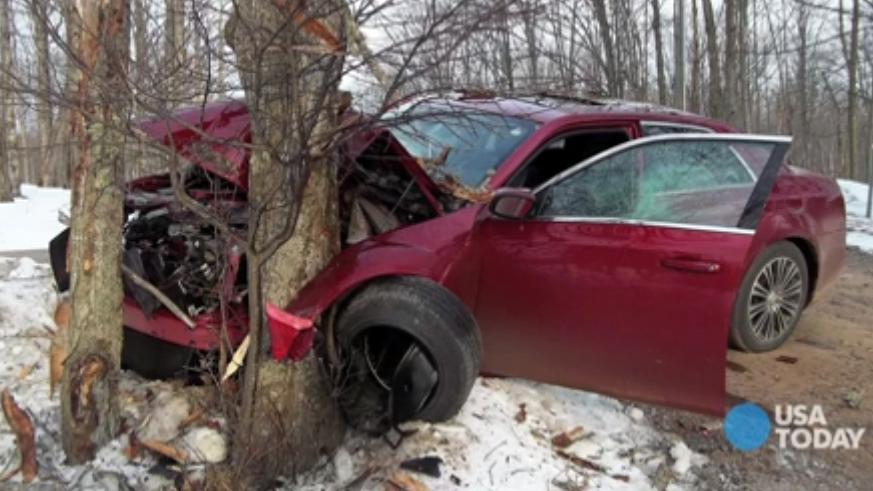 Car Crashed Into Tree